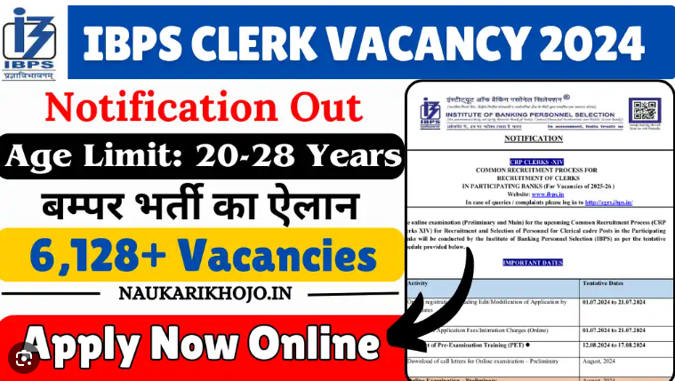 IBPS Clerk Notification 2024 – 6128 Vacancies Apply Now